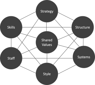 McKinsey 7S Framework